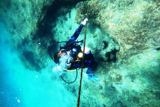 Pleasure Scuba Diving in Fujairah for Certified Diver - Dive Site Highlights