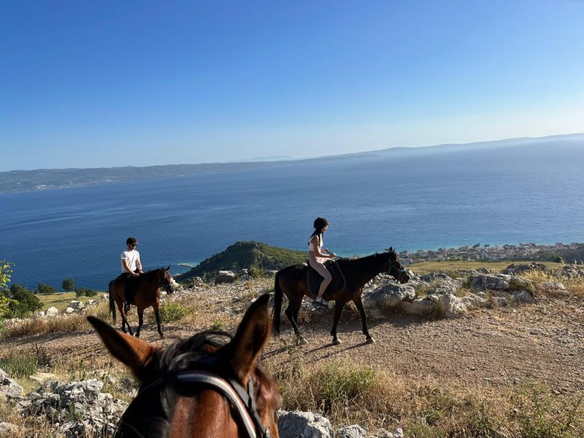 Podstrana: Guided Horseback Riding Experience - Booking and Availability