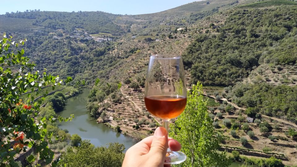 Porto: Douro Valley Wine Tour With Tastings, Boat, and Lunch - Small Personalized Group Experience