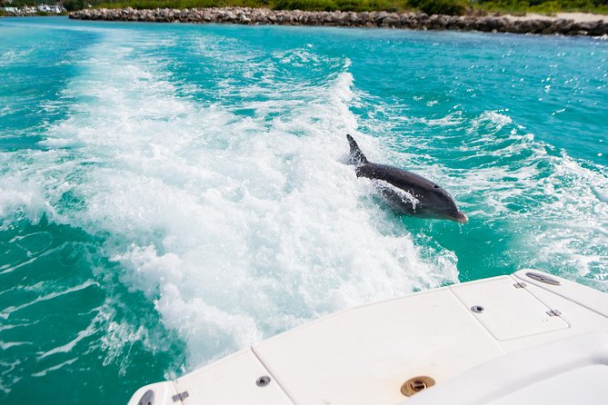 Private 7-Hr Island Escape Tour in Turks and Caicos (up to 10) - Operated by Grace Bay Watersports