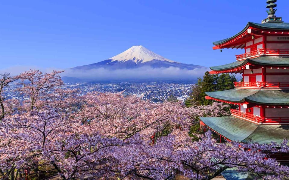 Private Day Trip to Mt. Fuji & Hakone Cherry Blossoms - Customization and Flexibility