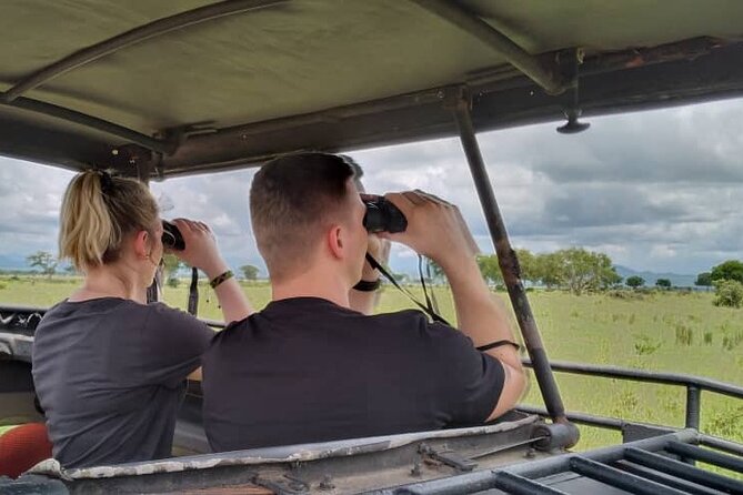 Private Full-Day Trip to Mikumi National Park From Dar Es Salaam - Lunch and Refreshments