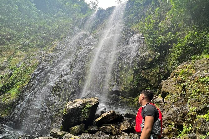 Private Rainforest Hike to Hidden Waterfall Tour With Transport - Booking and Cancellation