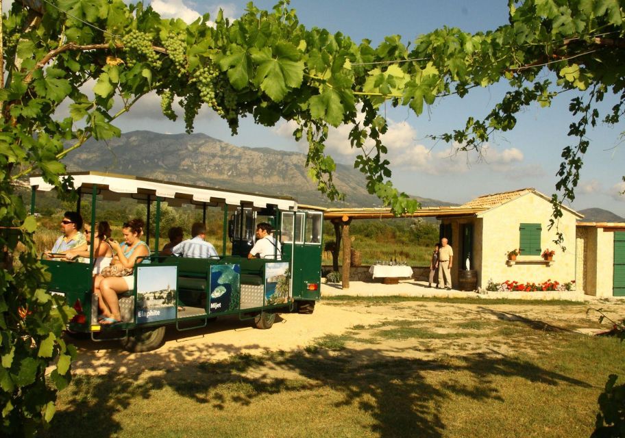 Private Tour to Konavle Valley With Wine Tasting - Pickup and Transportation