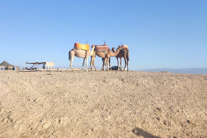 Quad Excursion to the Agafay Desert Near Marrakech - Exploring the Agafay Desert