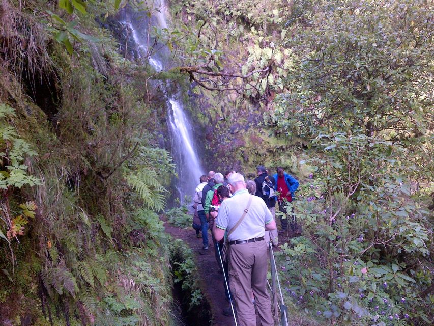 Queimadas Natural Park 5-Hour Guided Hike - Elevation and Highlights