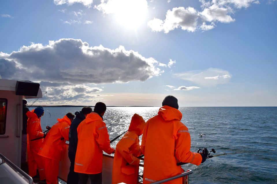 Reykjavik: Sea Fishing Boat Tour & BBQ With the Days Catch - Fishing Equipment and Attire Provided