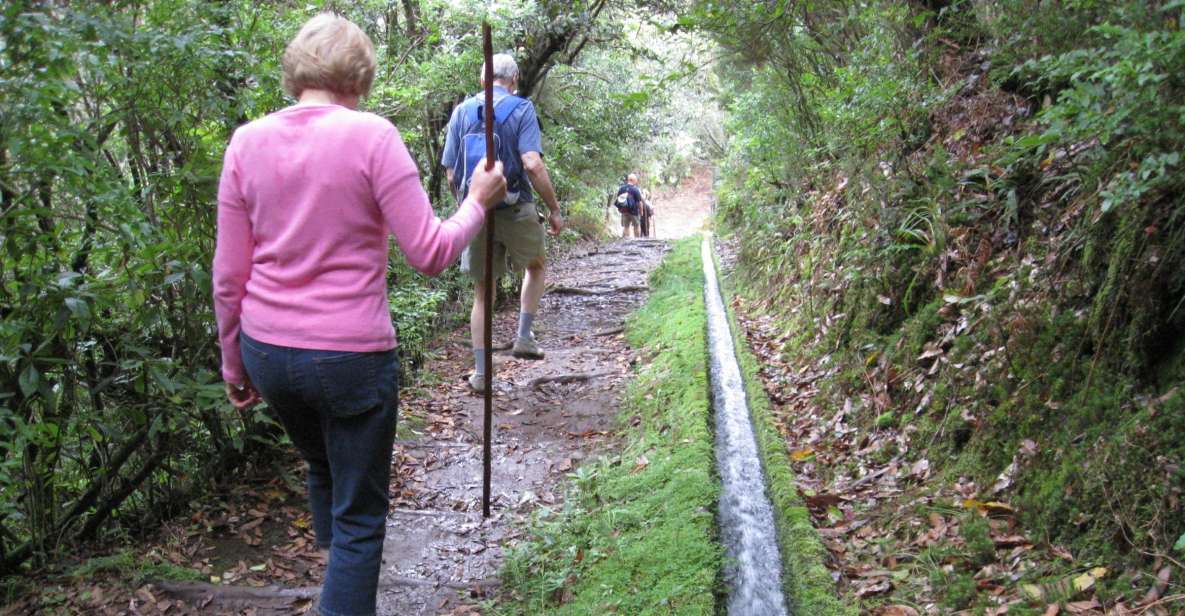 Ribeiro Frio / Portela - Levada Walk - Included Amenities