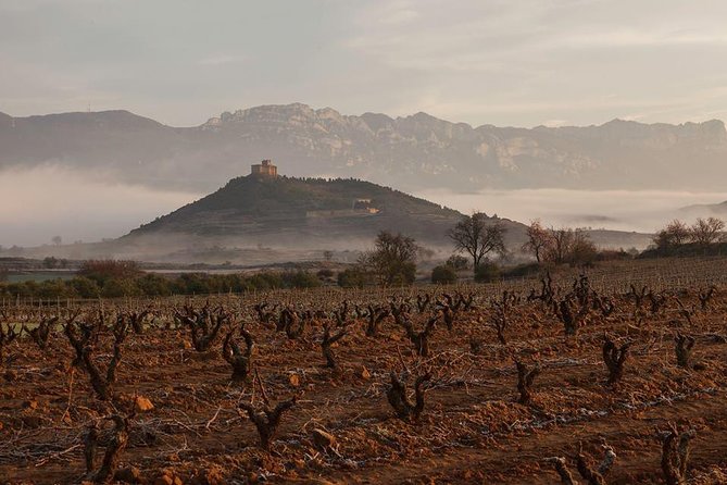 Rioja Alavesa Wineries and Medieval Villages Day Trip - Dress Code and Accessibility