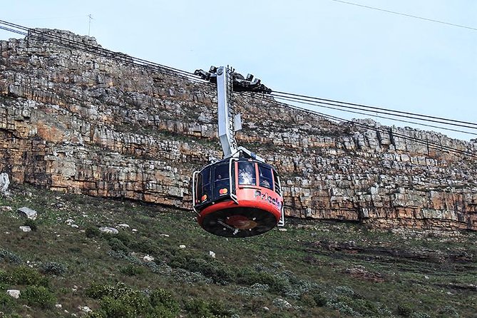 Robben Island Tour & Table Mountain Guided Tour - Tour Inclusions