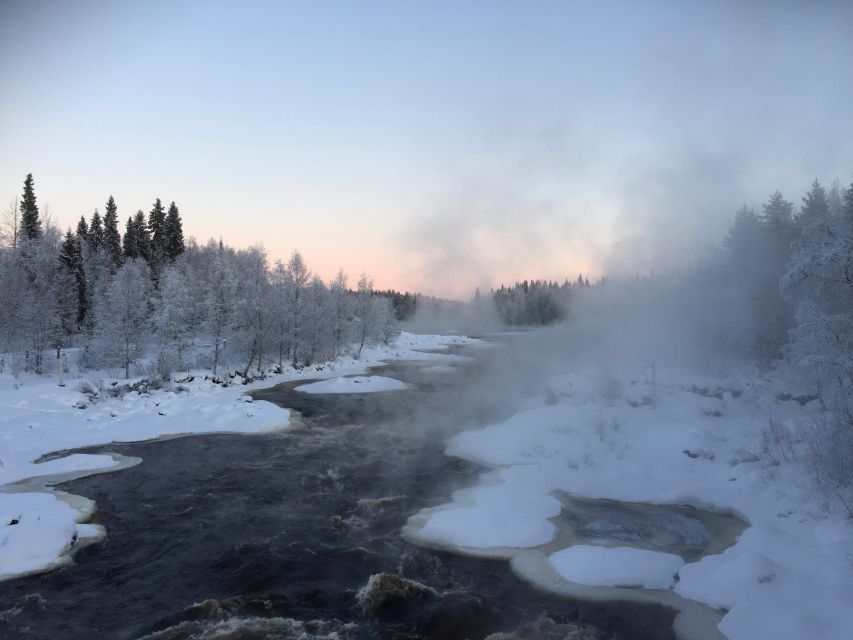 Rovaniemi: Wilderness Tour - Nature Lessons