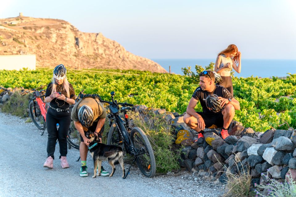 Santorini E-Bike Guided Tours - Contact Information