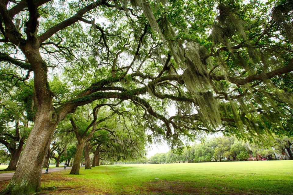 Savannah: Riverboat Cruise & City Tour Combo - Onboard Refreshments and Photos