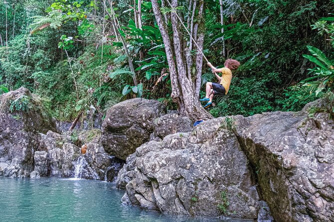 Semi Private El Yunque Tour -Transp. Inc. - Tour Options