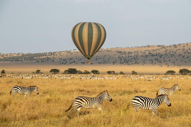 Serengeti Balloon Safari and Authentic Bush Breakfast - Considerations and Restrictions