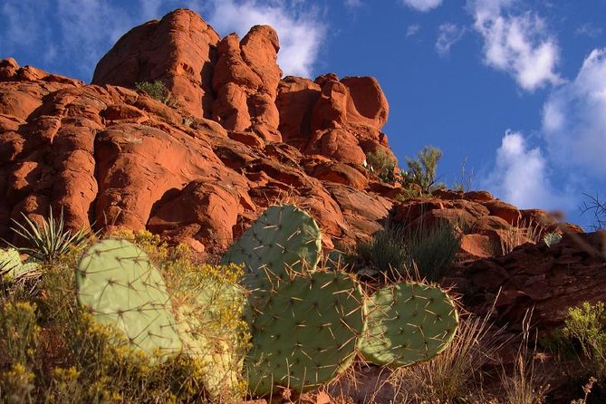 Small Group or Private Sedona and Native American Ruins Day Tour - Exploring Tuzigoot and Montezuma Castle