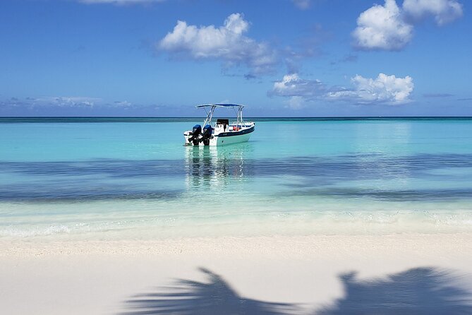 Small Group: Saona Island Full Day Tour - Turtle Conservation Area