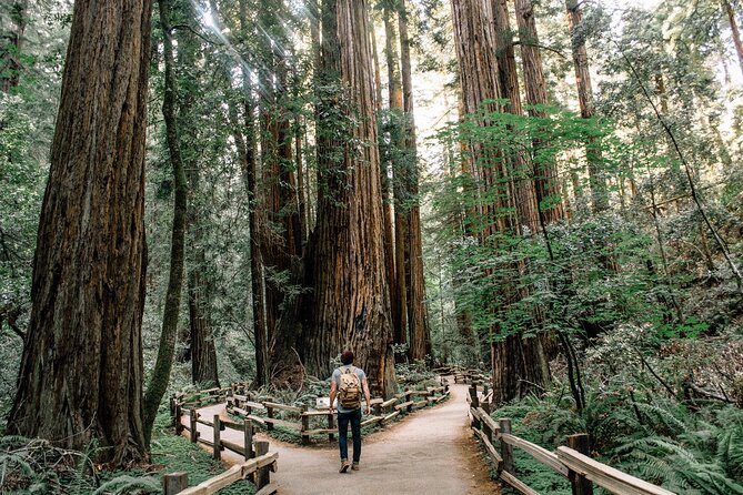 Small-Group Tour: Sf, Muir Woods, Sausalito W/ Optional Alcatraz - Guides and Lunch