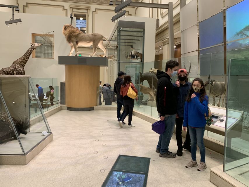 Smithsonian National Museum of Natural History Guided Tour - Value for Money