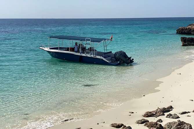 Snorkeling Adventure to Daymaniat Islands - Snorkeling Experience and Equipment