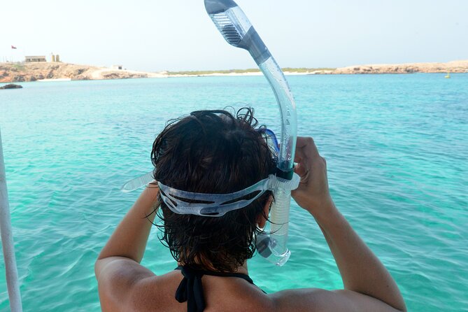 Snorkeling Trips to Daymaniat Islands Sharing Trip - What to Expect Underwater