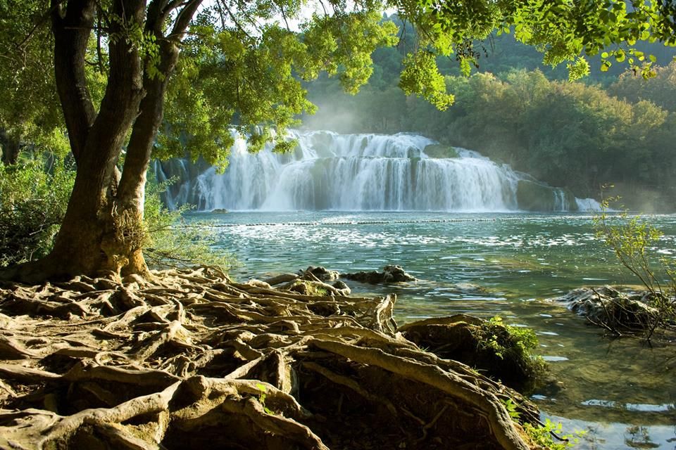 Split or Trogir: Krka Waterfalls & Wine and Food Tasting - Customer Ratings and Feedback