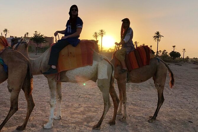 Sunset Camel Ride Tour in Marrakech Palm Grove - Capturing the Moment