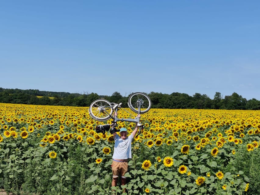 Szentendre by Bike: Self Guided Bike Rental Package! - Bike Rental and Reservation Options