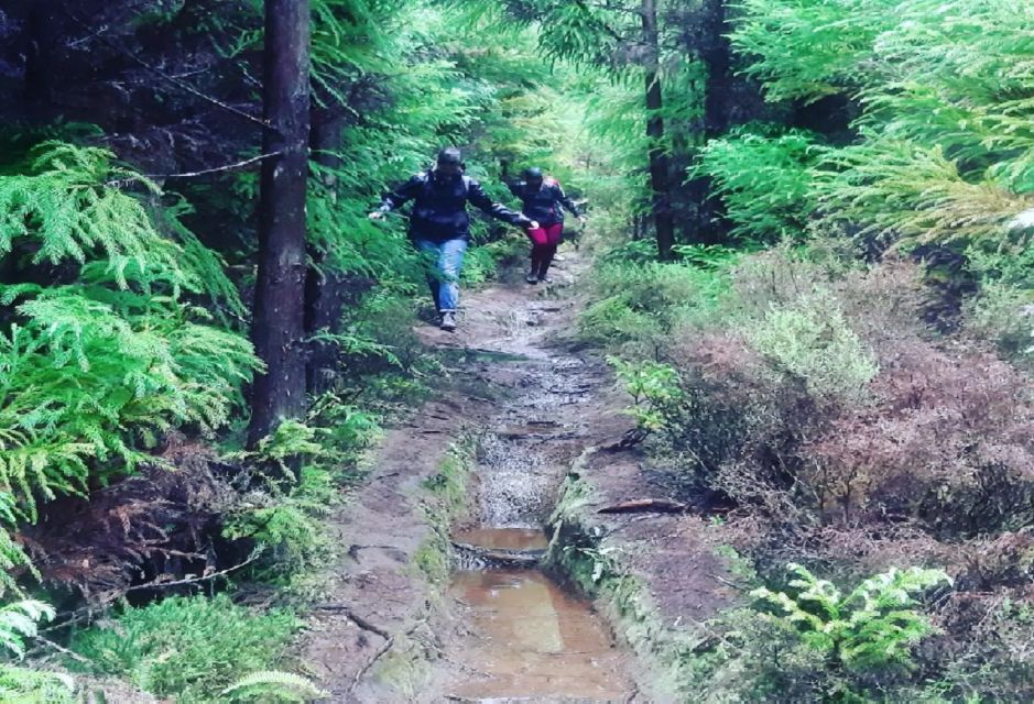 Third Island: Hiking Trail Mystérios Negros - Terrain and Scenery