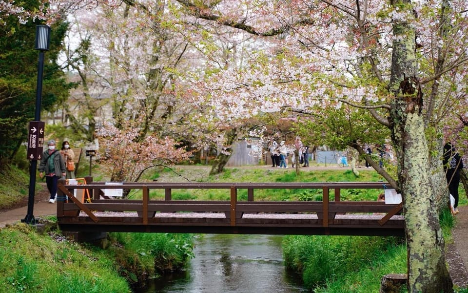 Tokyo: Mount Fuji Kawaguchiko Ropeway Sightseeing Day Tour - Oishi Park