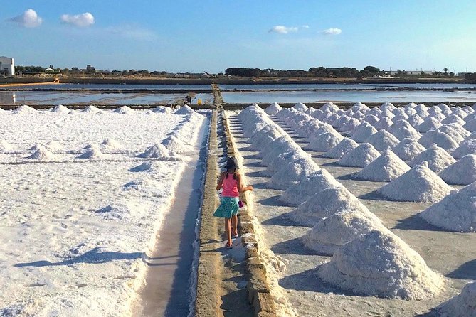 Tour From Palermo to Segesta, Erice, Trapani and Salt Pans - Commendations for Tour Guides