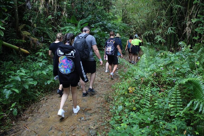 Trio Tour: El Yunque, Luquillo Beach, and Bio Bay Night Kayaking - Discovering Laguna Grandes Bioluminescent Bay