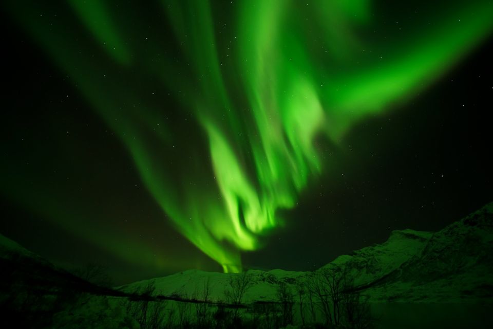 Tromsø: Northern Lights Tour With Free Professional Portrait - Allergen Information