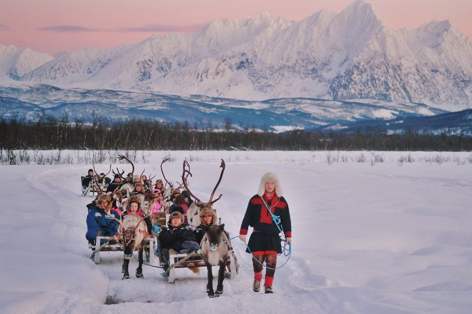 Tromsø: Sámi Reindeer Sledding and Sami Cultural Tour - Reindeer Sledding Experience