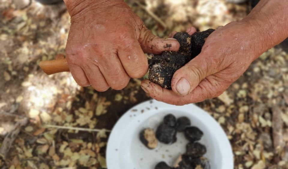 Truffle Hunting, Culinary & Wine Celebration From Elounda - Truffle Hunting Adventure