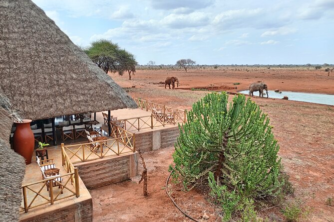 Tsavo East and Ngutuni Sanctuary Safari 3 Days From Mombasa - Safari Destinations