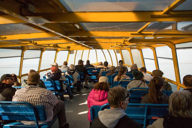 Whale-Watching Tour From Vancouver - Coastal Scenery