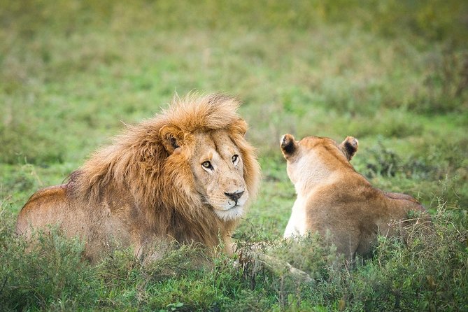 3-Day Taste of Tanzania Safari (Tarangire National Park and Ngorongoro Crater) - Ngorongoro Crater