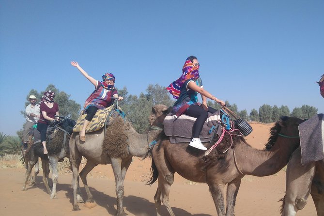 3 Days Desert Tour From Fez to Marrakesh via Merzouga Erg Chebbi - Meeting and Pickup Details