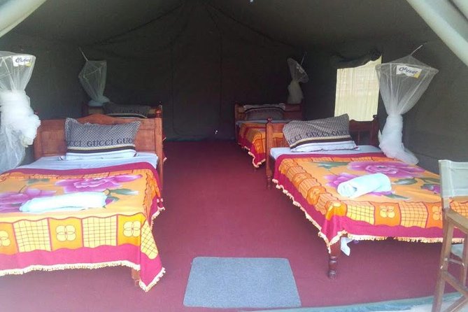 3 Days Maasai Mara Guided Safari From Nairobi - Optional Experiences and Upgrades