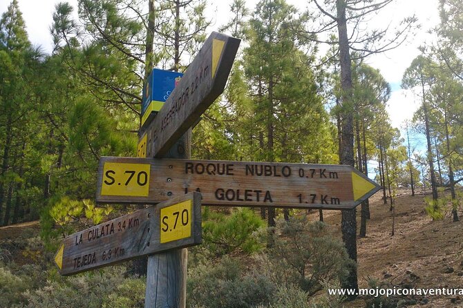 3-Hour Hiking Experience in Roque Nublo - Negative Traveler Feedback