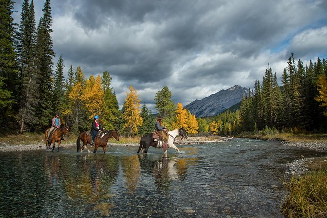 4 Hour Sulphur Mountain Horseback Ride - Getting There and Back