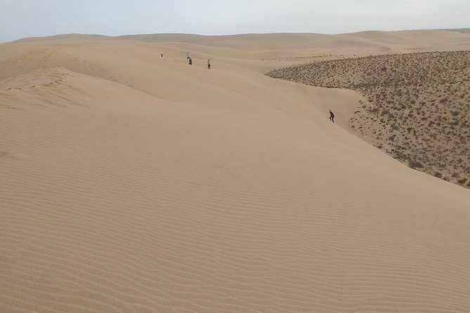 4 Hours.Agadir : Trip to Sahara and Tifnit Fishing Village - Memorable Experiences