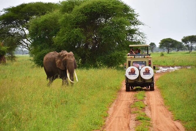 6 Days 5 Nights Safari Ngorongoro, Serengeti and Tarangire National Parks - Pickup and Drop-off Details