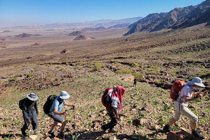 6 Days Guided Trek From Dana to Petra (Group) - Transportation and Tips