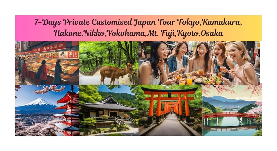 7-Day Tour Tokyo Kamakura Hakone Nikko Yokohama Fuji Kyoto - Weather and Cancellation Policy