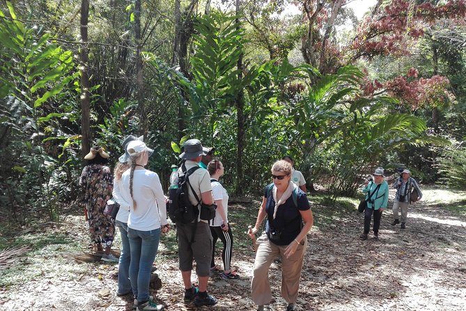 A Day at the Asa Wright Nature Center - What to Bring and Prepare