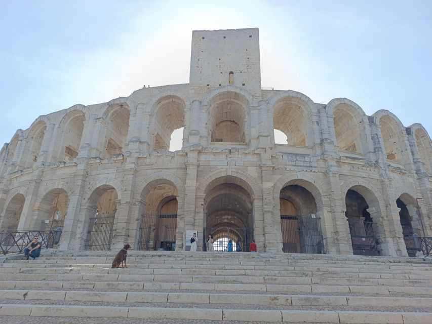 Aix-en-Provence: Arles & Camargue National Park Private Tour - Flamingos and White Horses