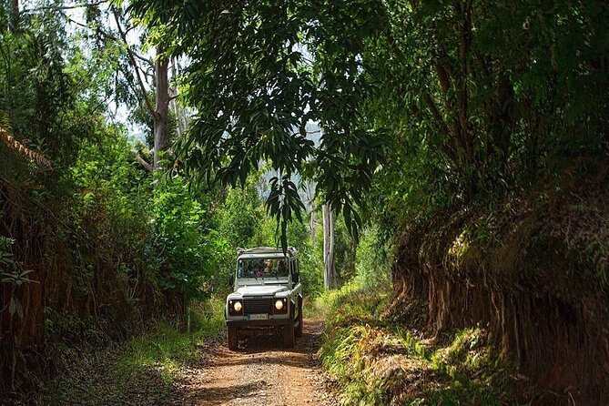 Alanya Jeep Safari Tour To Taurus Mountains (6 Activities in 1 Trip) - Cancellation and Restrictions