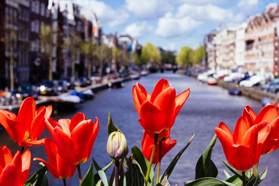 Amsterdam: Highlights Self-Guided Scavenger Hunt & City Tour - Flexible and Convenient Experience